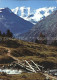 11890962 Languard Pitschen Alp Languard Mit Piz Palue Und Bellavista Bruecke Lan - Autres & Non Classés
