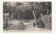 06 . NICE . GROUPE DE PALMIERS AU CHATEAU . 1909 - Panoramic Views