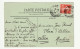 06 . NICE . GROUPE DE PALMIERS AU CHATEAU . 1909 - Cartas Panorámicas