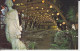 Kapok Tree Inn Clearwater  Floride USA  Magnificent Dining Room With An Arch-shaped Roof, Statue Lights 2 Sc - Clearwater