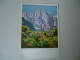 GREECE POSTCARDS ΚΥΚΛΑΜΙΝΑ   MORE  PURHASES 10% DISCOUNT - Greece