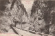 AA+ 15-(11) DANS LES GORGES ST GEORGES , PRES AXAT - ANIMATION - ATTELAGE , TRANSPORT DU BOIS - Sonstige & Ohne Zuordnung