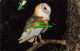 R578888 Barn Owl. British Birds. J. Salmon - Monde