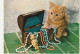 AA+ 50- LOT DE 5 CP CHATONS : BOITE A BIJOUX , PELOTES DE LAINE , LIVRES , PANIERES - Cats