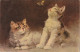 AA+ 50- CARTE FANTAISIE - COUPLE DE CHATONS AVEC PAPILLON - ILLUSTRATEUR - CARTE GAUFREE - Cats