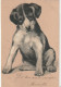 AA+ 50- CHIOT BEAGLE - ILLUSTRATEUR - CARTE GAUFREE - Chiens