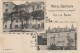 AA+ 98-(73) AIX LES BAINS - HOTEL GERMAIN - CHATEAU DURIEUX ET DES ANGLAIS - Aix Les Bains