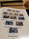 Delcampe - 1999 MNH New Zealand According To Lindner-T Album Postfris** - Années Complètes