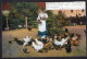 Postcard - 1905 - Woman Feeding Chickens - Vrouwen