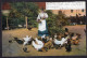 Postcard - 1905 - Woman Feeding Chickens - Femmes