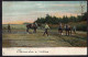Postcard - Circa 1905 - Horses - Rural Life - Harrowing And Sowing - Paarden