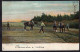 Postcard - Circa 1905 - Horses - Rural Life - Harrowing And Sowing - Caballos