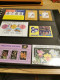 Delcampe - Philippines MNH Collection Of Blocks Postfris** - Philippines