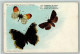 13023206 - Schmetterlinge Aus Medicus - Butterflies
