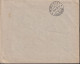 1921 Schweiz, Brief  Zum:CH 172, Mi:CH 203x, Tell-Brustbild - Lettres & Documents