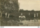 CARTE PHOTO LA PECHE AUX GRENOUILLES 1907 - Pesca