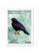 2024001; Syria; 2024; Strip Of 5 Stamps; Syrian Wildlife; Syrian Birds; 5 Different Stamps; MNH** - Syria