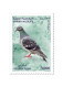 2024001; Syria; 2024; Strip Of 5 Stamps; Syrian Wildlife; Syrian Birds; 5 Different Stamps; MNH** - Syrie