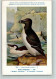 13062906 - Voegel Nr. 312 Sign Dupond - Petit - Oiseaux