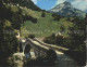 11877490 Valle Verzasca Ponte Romano Locarno - Autres & Non Classés