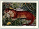 39283706 - Otter Naturhistorisches Museum Sign. L. Henderyckx - Autres & Non Classés