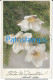 228006 ART ARTE TREE & FLOWER GERMANY CANCEL TEMATICO CIRCULATED TO CHILE POSTAL POSTCARD - Non Classés