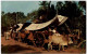 Malacca - Bullock Carts - Malesia