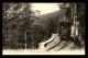 88 - GERARDMER - LE TRAMWAY DE LA SCHLUCHT - Gerardmer