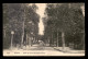 03 - VICHY -  RUE DU PONT DE BELLE-RIVE - Vichy