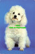 R574676 Dog. Hinde. 1976 - World