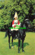 R575166 Mounted Life Guard. Hyde Park. London - Other & Unclassified