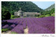 2-5-2024 (3 Z 36) Lavender Field & Church - Kirchen U. Kathedralen