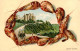 73850445 Dover  Kent UK Castle Schloss Meeresfruechte Kuenstlerkarte  - Andere & Zonder Classificatie
