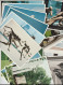 Olympic Museum In Lausanne. 19 Mint Postcards. Postal Weight Approx 120 Gramms. Please Read Sales Con - Collezioni E Lotti