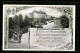 AK Gössnitz-Altenburg, XX. Deutscher Philatelistentag U. XII. Bundestag Deutsch-Österr. Philatelisten-Vereine 1908  - Briefmarken (Abbildungen)