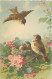 Illustration Theme Oiseaux Dans Un Nid Fleurs     Q 2594 - Oiseaux