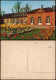 Ansichtskarte Bad Driburg Blumen Beet A.d. Wandelhalle 1970 - Bad Driburg