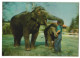 3D-AK Elefantenmutter Mit Jungem Und Wärter  - Photographie