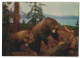 3D-AK Zwei Braunbären Mit Wasser Im Hintergrund  - Fotografía