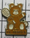 1218c Pin's Pins / Beau Et Rare / SPORTS / CLUB TENNIS Behren-Lès-Forbach MOSELLE NOUNOURS - Tennis