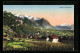 AK Vaduz, Ortsansicht Mit Umgebung  - Liechtenstein