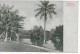 Ansichtskarte Singapore: Straits Settlements 1910 Nach Berlin - Singapur (1959-...)