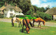 R581625 New Forest Ponies. Photo Precision Limited. Colourmaster International. - World