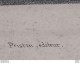 MARSEILLE RUE CANEBIERE LITHO VIALE GEOFFROY ENCADREE FORMAT 36 X 31 CM - Litografia