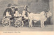 India - Bullock Carriage Of A Native State  - India