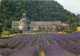 ABBAYES DE SENANQUE GORDES Vue Générale Et Champs De Lavande 13(scan Recto Verso)MF2702 - Gordes