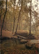 FORET D HUELGOAT La Mare Aux Sangliers 1 (scan Recto Verso)MF2722 - Huelgoat