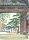 JAPON JAPAN . The Main Gate . Kinkaku-ji Temple  日本 。メインゲート。金閣寺Nihon. Meingēto. Kinkakuji 15 (scan Recto Verso)MF2724UND - Kyoto