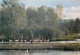 PARC DE SAINT VRAIN Flamants De Cuba Et Pelican 18(scan Recto Verso)MF2746 - Saint Vrain