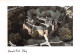 AINAY LE VIEIL Le Chateau Vue Aerienne  24 (scan Recto Verso)MF2752BIS - Ainay-le-Vieil